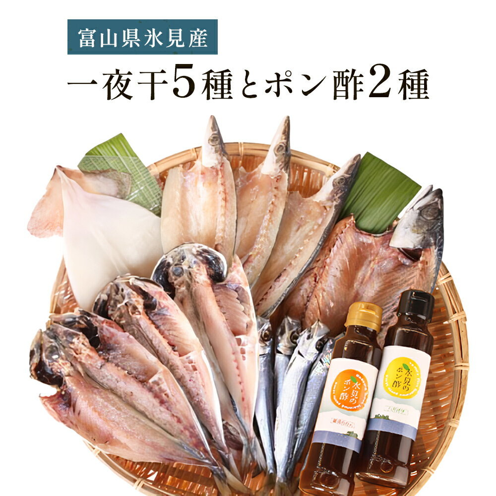 【ふるさと納税】《氷見堀与》一夜干5種とポン酢2種のセット