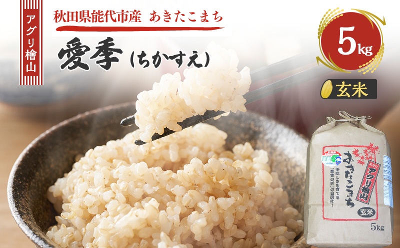 令和7年産 新米 アグリ檜山米 愛季(ちかすえ) 玄米 5kg  あきたこまち  お米 おこめ こめ コメ ごはん ご飯 大粒 令和7年  秋田 秋田県 能代市