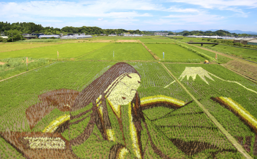 静岡県 菊川市 日本旅行 地域限定 旅行 クーポン 150,000円分 旅行券 観光 宿泊 体験 トラベル クーポン