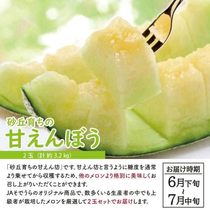 SB0804　【2回定期便】自然の恵み　春・夏フルーツ定期便2026 (いちご、青肉メロン)