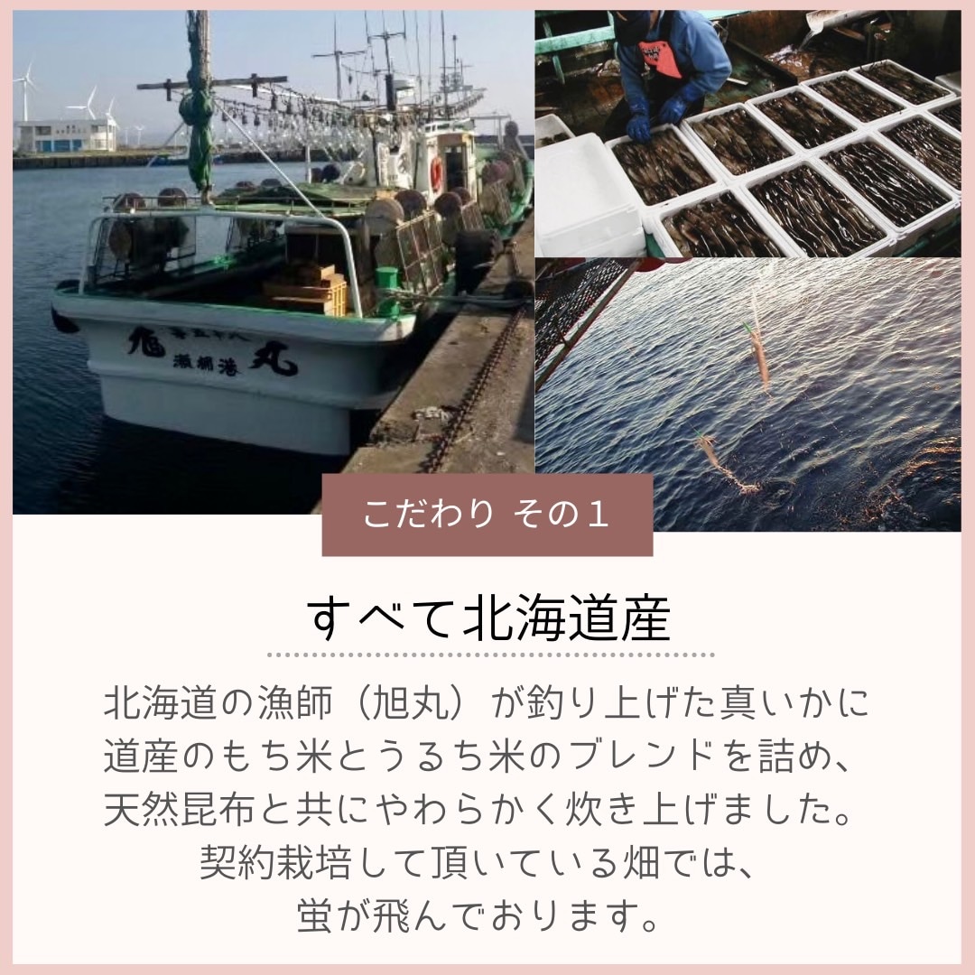 漁師のいかめし 2個入×5パック F6S-583