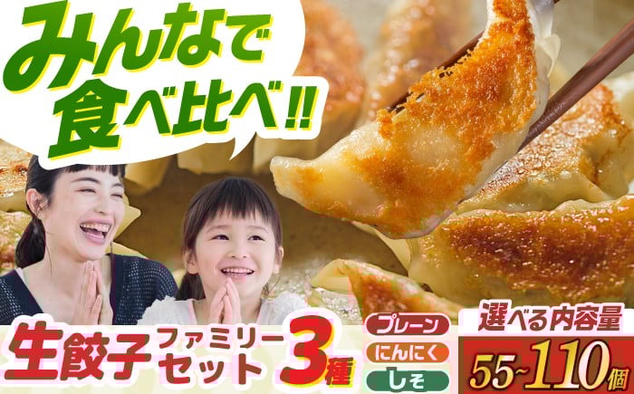 
            【選べる個数】【大好評】食べ比べ生餃子！ファミリーセット(55個～110個入り) 餃子 ぎょうざ ギョーザ　岐阜市 / ドルフィン株式会社 [ANHL004]
          