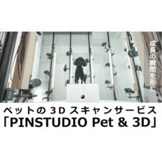 ペットの3Dスキャンと3Dフルカラープリントによる造形(フィギュア)長辺3cm