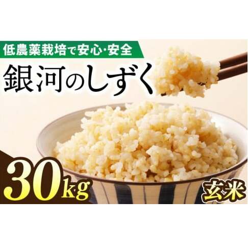 【新米 先行予約】令和6年産 銀河のしずく 30kg (玄米) 低農薬栽培米 生産者直送 (EI010)