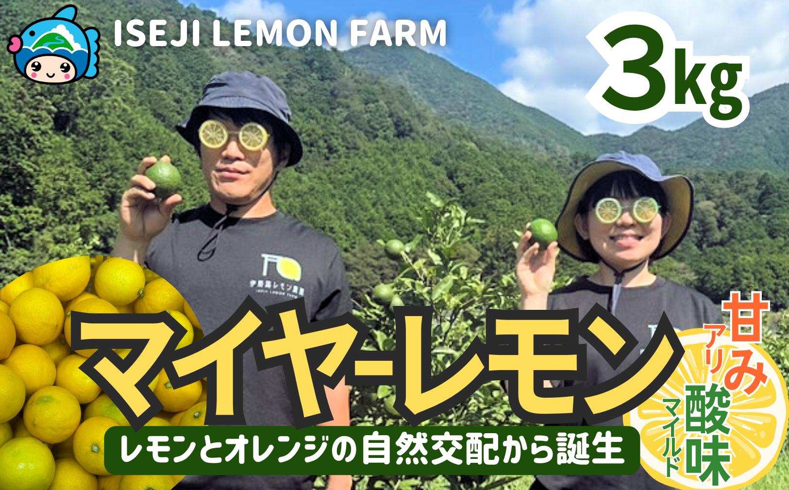 
                  「国産マイヤーレモン」3Kg　伊勢路レモン農園〈2026年10月以降出荷分受付開始〉【IL01】
                