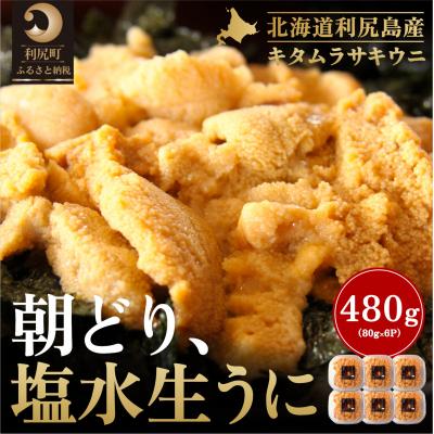ふるさと納税 利尻町 【2026年発送受付】利尻島産「朝どり」塩水生うに480g (80g×6) 天然キタムラサキウニ