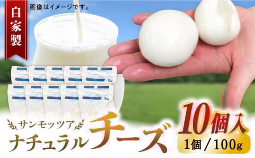 自家製 ナチュラルチーズ サンモッツア 10個 ( 100g × 10個 ) / チーズ モッツァレラチーズ  乳製品 熊本 山都町【山の未来舎】[YBV009]