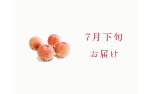 ＜2026年発送先行予約＞【7月下旬お届け】品種おまかせ！山梨県産の旬の桃 約4kg（約10〜12玉） ALPDS019