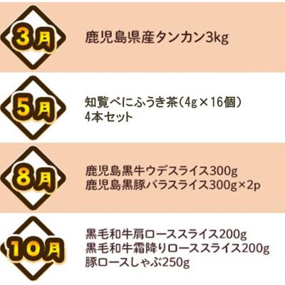 ふるさと納税 南九州市 【全4回】南九州トクトク定期便ライト |  | 02