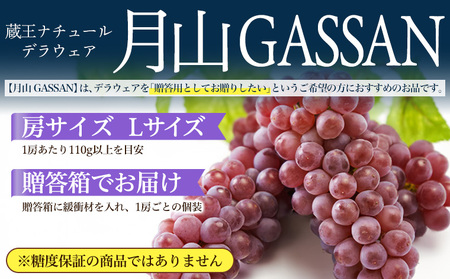 【月山 GASSAN】蔵王ナチュールデラウェア 山形のデラウエア TAKUMI ORCHARD 99% 贈答 L以上 約2kg 山形 山形県 山形市 フルーツ 果物 くだもの 送料無料 ぶどう 葡萄 