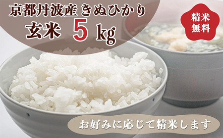 【令和7年産】きぬひかり 玄米 5kg 玄米