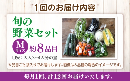 【先行予約】【2027年1月以降発送開始】【全12回定期便】旬の野菜セットMサイズ 島根県松江市/須山農園 [ALBD010]