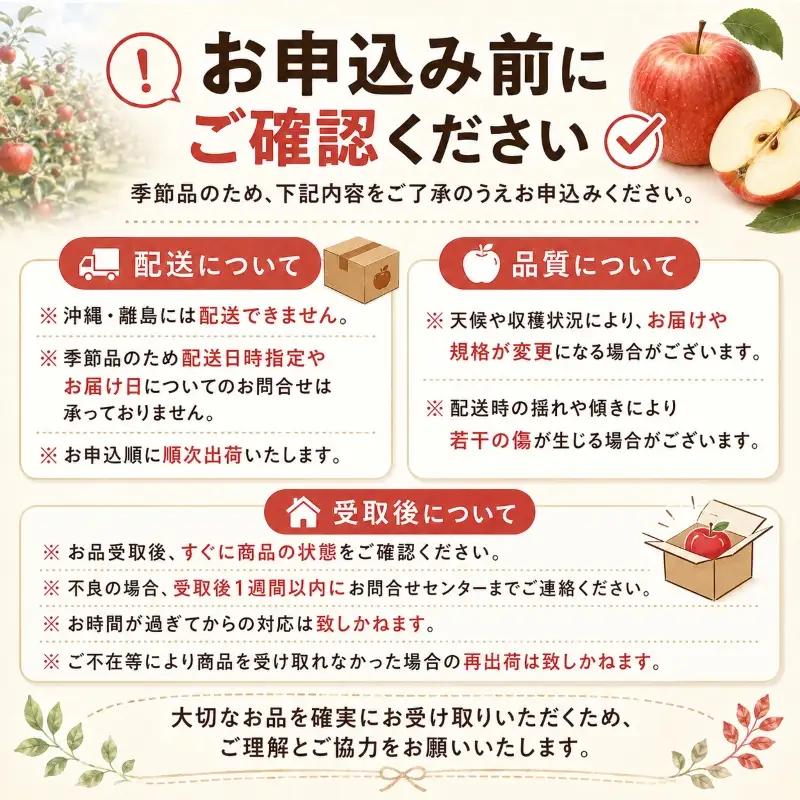 【先行予約】 訳あり 盛岡りんご 品種おまかせ 5kg 乙部角屋 りんご otobe006