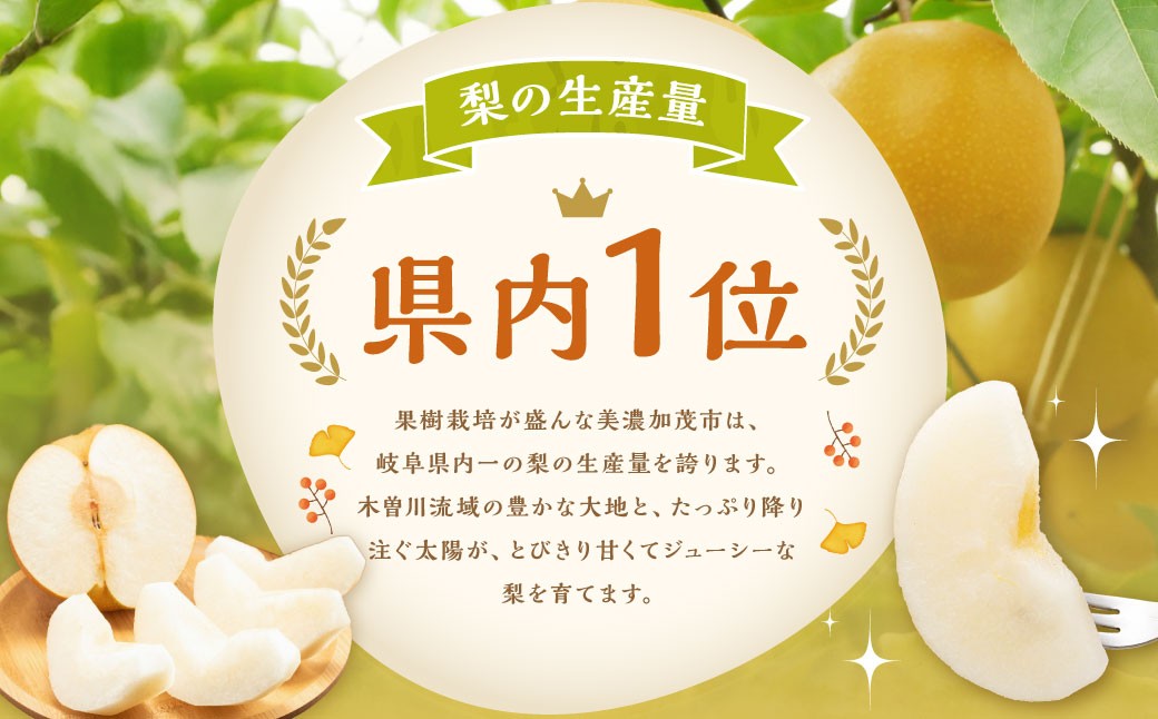 ｢丸坂山田農園｣ 山之上梨 豊水 1箱 （ 約2.5kg ／ 5～8玉 ）