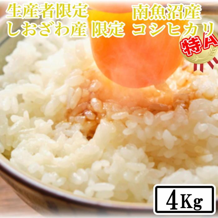 【ふるさと納税】【令和7年産】【精米4kg】しおざわ産限定 生産者限定 南魚沼産コシヒカリ | お米 こめ 白米 コシヒカリ 食品 人気 おすすめ 送料無料 魚沼 南魚沼 南魚沼市 新潟県産 新潟県