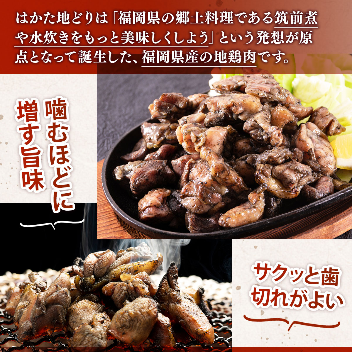 はかた地どり 炭火焼 セット100g 5p 計500g [MEAT PLUS 福岡県 宇美町 um40azp010031] 炭火焼鳥 炭火焼き 鶏肉 地鶏 博多地鶏 はかた地鶏 博多地どり