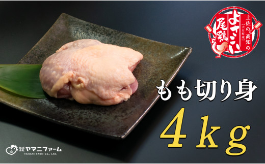 
【大月町のブランド鶏】よさこい尾鶏 もも肉（200ｇ）×20パック
