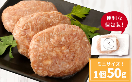 ハンバーガー屋の本気ミニハンバーグ200ｇ（50ｇ×4個） ＜ 国産 高知県産 牛肉 豚肉 ブランド肉 希少 土佐あかうし 四万十ポーク ＞sd015