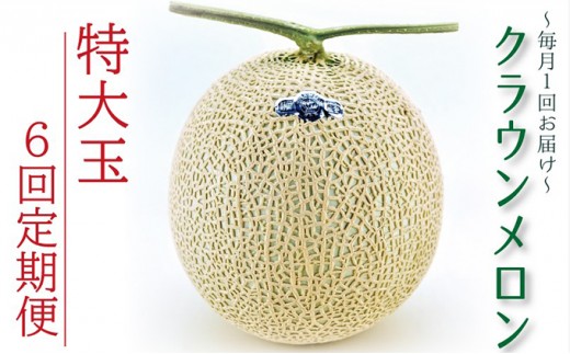 クラウンメロン特大玉　1玉　【6ヶ月定期便】【配送不可：離島】 果物類 メロン青肉 フルーツ ６回