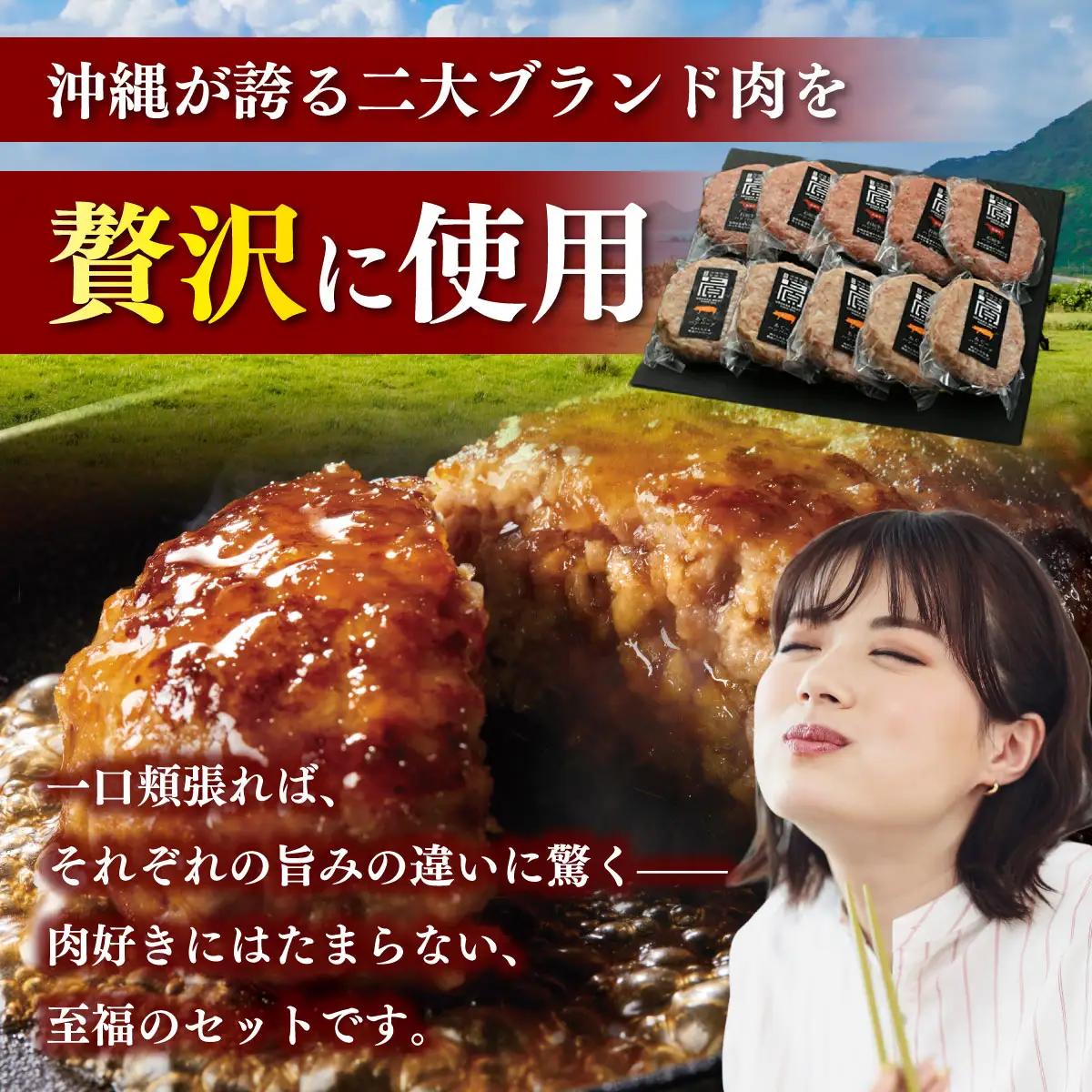 石垣牛＆あぐーハンバーグセット （AG011-1）