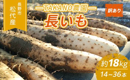 先行予約 長野市松代産 TAKANO農園　長いも 約18kg（訳あり）【14～36本】長芋　ながいも
