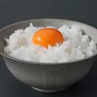 【希少品種】岡崎おうはん 紅花の卵 10個入×4パック【冷蔵配送】 / 田辺市 卵 たまご 有精卵 純国産鶏 鶏卵 平飼い お取り寄せ 卵かけごはん 和歌山県 【kag005】