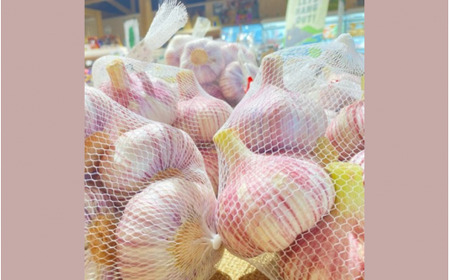 【令和7年産先行予約】旬の野菜 にんにく 約1kg～1.5kg [2025年6月以降順次発送] 新潟県 五泉市 まるっと五泉プロジェクトFunSpace株式会社