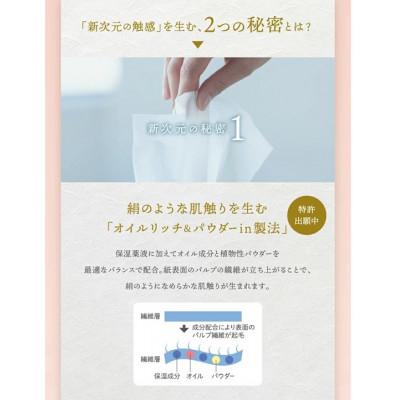 ふるさと納税 蓮田市 【2ヵ月毎定期便】新保湿ティシュ絹雲ボックスティシュ 130組 (3枚重ね) 3個パック×10全3回 |  | 01