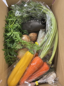 【2025年10月以降順次スタート】「篠来たる」オーガニック野菜(7種ほど)と玄米２kgの定期便 ※3・4月農閑期のみ丹波篠山産の加工品 | 兵庫県 丹波篠山市 自然派 げんまい おいしい お米 コシ