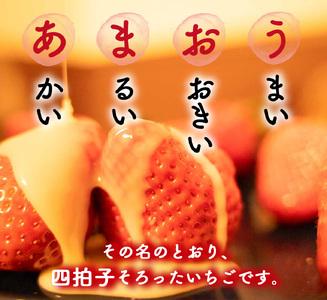＜先行予約受付中！2027年1月中旬～3月末に順次発送予定＞福岡県産 あまおう(計約1.5kg・250g×6P)いちご 苺 フルーツ 果物 くだもの 冷蔵 ＜離島配送不可＞【ksg1806】【エフビー