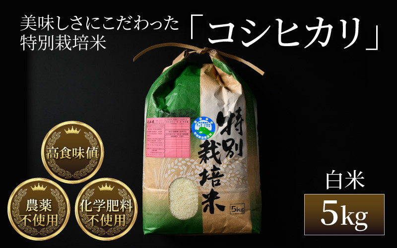 
            【先行予約】【令和7年産 新米】コシヒカリ 精米 5kg 特別栽培米 農薬不使用 化学肥料不使用 ／ 残留農薬ゼロ 高品質 鮮度抜群 福井県産 ブランド米 白米 ※2025年9月下旬より順次発送予定
          