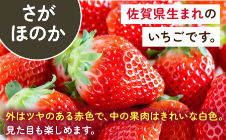 【2026年発送分 先行予約】1パックに3色いちご（こころの色・さがほのか・淡雪）220g×1パック / いちご イチゴ 苺 果物 フルーツ / 佐賀県 / 岸川農園[41ASAG009]