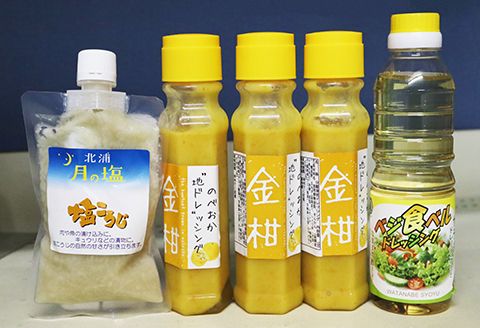 のべおか”地ドレ”ッシング金柑と塩こうじセット N060-YA3395