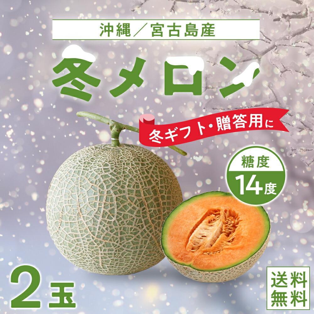 【ふるさと納税】【琉球マルシェ】毎年大好評！沖縄県宮古島産　冬メロン　2玉（大）計3.0kg以上　贈答用　冬のギフト