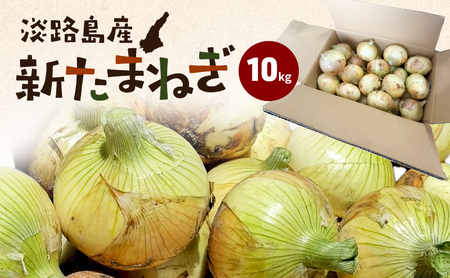 淡路島産 新たまねぎ 10kg 新玉ねぎ 玉ねぎ 玉葱 タマネギ 甘い 兵庫県 洲本市 淡路島