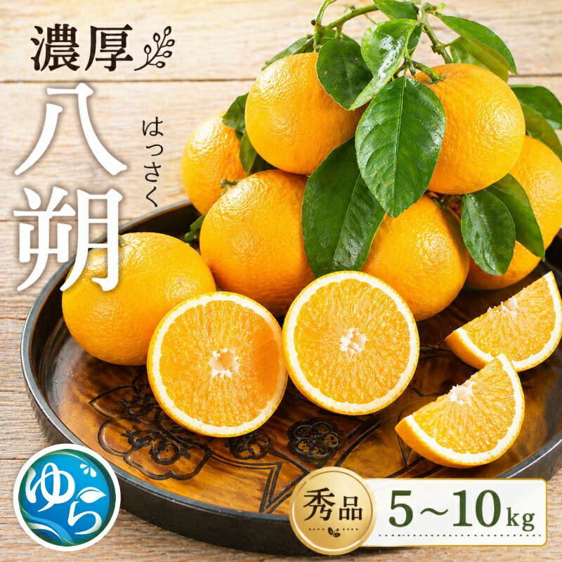 【ふるさと納税】 八朔 秀品 サイズおまかせ / 高級 甘い みかん 和歌山 由良 リピート 5kg 10kg ※2026年2月中旬頃より6月上旬に順次発送予定