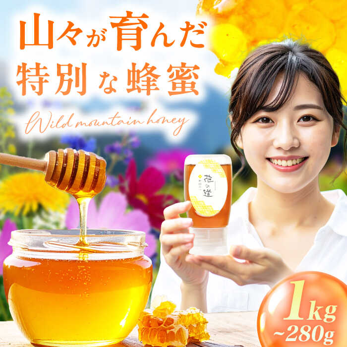 【ふるさと納税】【選べる容量】野山みつ 1-2本（280g-1kg） 広川町 / 株式会社九州蜂の子本舗[AFAI042]