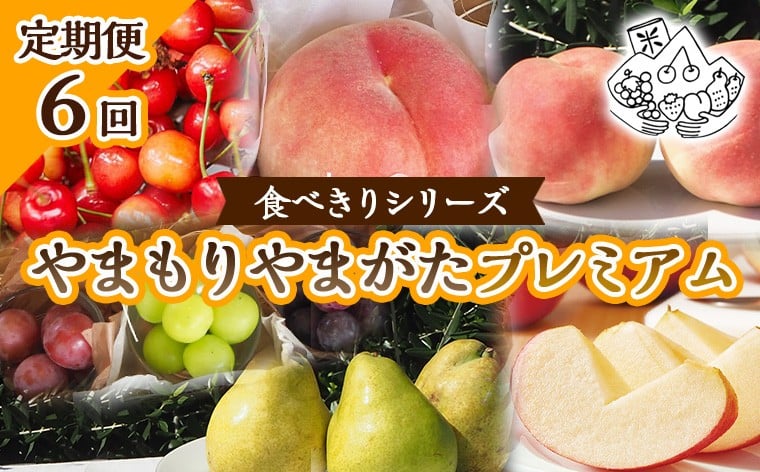 
            【定期便6回】★食べきりシリーズ★やまもりやまがたプレミアム【令和8年産先行予約】FS25-105 くだもの 果物 フルーツ 山形 山形県 山形市 2026年産
          
