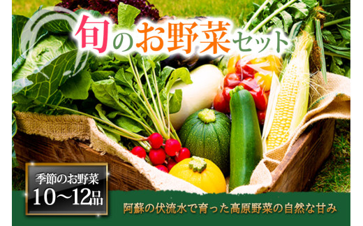 ＜畑から直送＞季節のお野菜セットをお届け！【XLサイズ】旬のお野菜の中から10～12品を厳選♪ 野菜 新鮮 野菜セット 農家直送 産地直送 野菜 厳選 こだわり 朝採れ 採れたて フレッシュ サラダ 高原野菜 果物 フルーツ 詰め合わせ おまかせ 大地の恵み 贈り物 ギフト 便利 食卓 家族 主婦 料理 お弁当 人気 おすすめ お取り寄せ 野菜 熊本県 阿蘇市