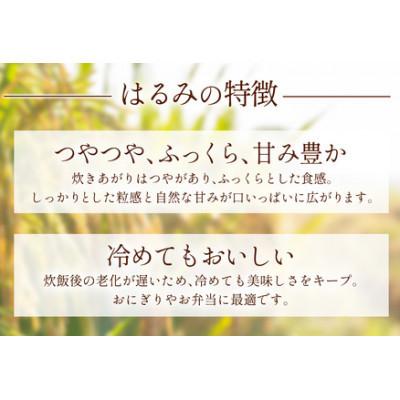 ふるさと納税 伊勢原市 【発送月固定定期便】11月上旬から出荷予定　合計30kg 精米 はるみ10kg全3回 |  | 01