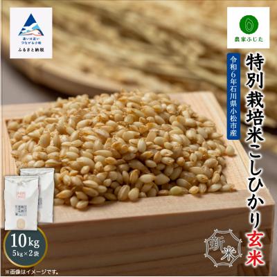 ふるさと納税 小松市 コシヒカリ 玄米 10kg 令和7年産 新米 特別栽培米こしひかり 【農家ふじた】