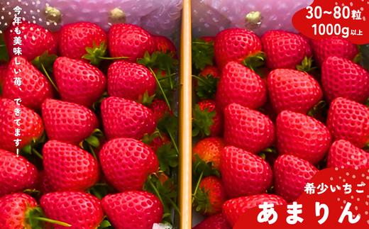 埼玉生まれの希少いちご『あまりん』80～30粒入り（1000g以上）【潰れが気にならない方限定】
