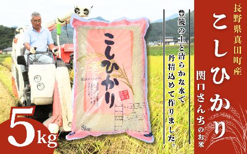 米 令和7年 関口さんちのお米 コシヒカリ 5kg お米 こめ コメ 新米 精米 白米 ご飯 こしひかり 長野 信州