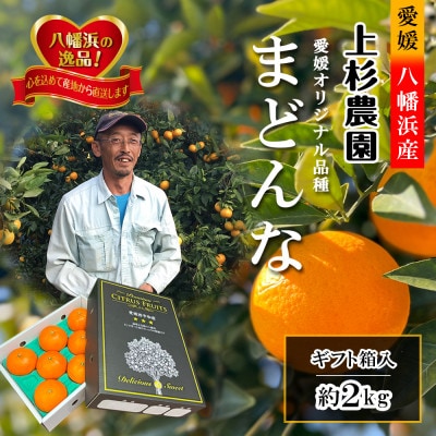 ギフト対応化粧箱入・上杉農園のぷるぷる新食感!「マドンナ」約2kg【C39−50】【1450439】
