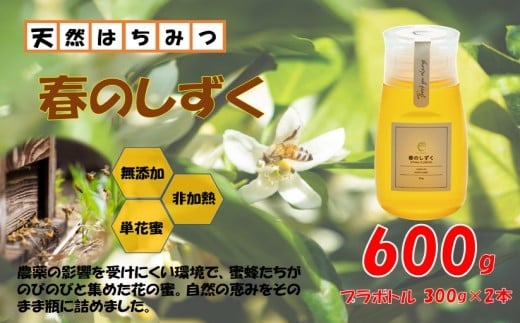 春のしずく2本セット 合計600g (300g×2本) 百花蜜 鹿児島 はちみつ 蜂蜜 小分け AS-8109