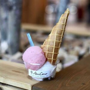 季節の天然素材ジェラート【AmiCono JIYUGAOKA】お買い物に使える3,000円分チケット（ふるさとチケット） アイス デザート 氷菓子 スイーツ お菓子 お買物券 アミコーノ 東京 世田谷_0097-002-se7