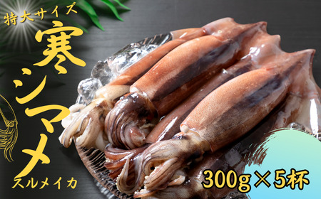 【朝どれ寒シマメ特大サイズ 丸ごと5杯セット】300g×5杯 いか イカ スルメイカ 朝どれ寒シマメ