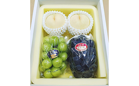 岡山県産 詰合/白桃2玉(1玉220g以上)・ニューピオーネ1房(480g以上)・シャインマスカット「晴王」１房(480g以上) 化粧箱入り