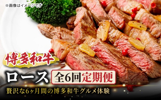 博多和牛ロース定期便【贅沢な6ヶ月間の博多和牛グルメ体験】 博多和牛ロース サーロインステーキ 肩ローススライス 肩ロース焼肉 リブローススライス リブロースブロック サーロインブロック 和牛 肉 お肉 ステーキ 焼肉 肩ロース リブロース ジューシー 福岡県 八女市