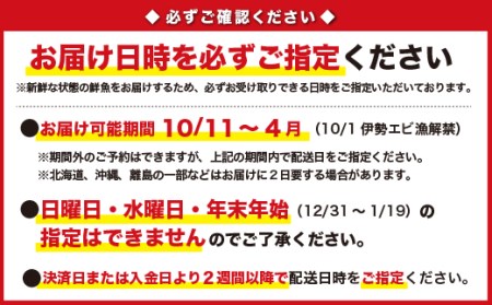  新鮮！特大・活伊勢エビ  たっぷり約1.8kg（2~5尾）《10月12日～4月期間限定出荷：先行予約も可（到着日時指定必須商品）》　HA-58 